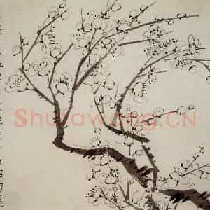 1754年 金农《梅花册》国画花鸟作品图片鉴赏