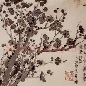1754年 金农《梅花册》国画花鸟作品图片鉴赏