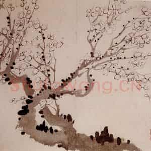 1754年 金农《梅花册》国画花鸟作品图片鉴赏