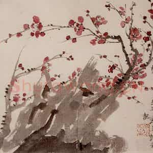 1754年 金农《梅花册》国画花鸟作品图片鉴赏