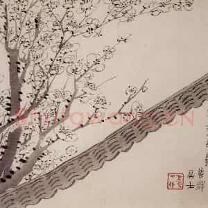 1754年 金农《梅花册》国画花鸟作品图片鉴赏