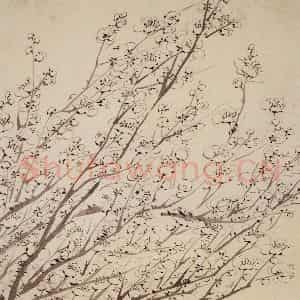1754年 金农《梅花册》国画花鸟作品图片鉴赏
