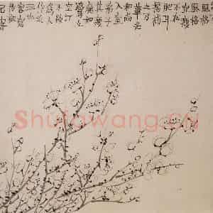 1754年 金农《梅花册》国画花鸟作品图片鉴赏