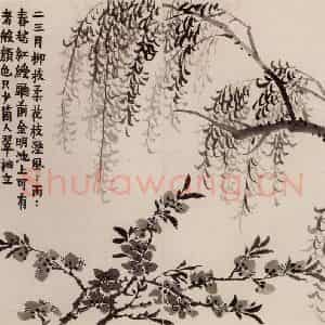 1754年 金农《杂画册》国画花鸟作品图片鉴赏