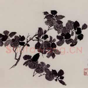1754年 金农《杂画册》国画花鸟作品图片鉴赏