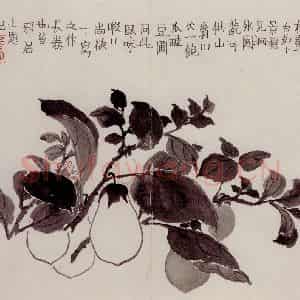 1754年 金农《杂画册》国画花鸟作品图片鉴赏