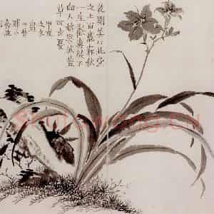 1754年 金农《杂画册》国画花鸟作品图片鉴赏