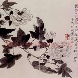 1754年 金农《杂画册》国画花鸟作品图片鉴赏