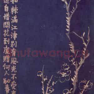 1757年 金农《梅花十二开》国画花鸟作品图片鉴赏