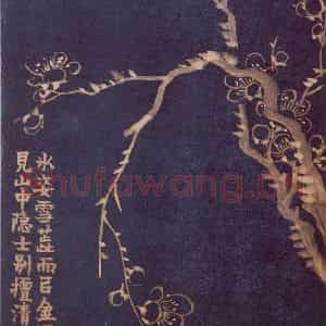 1757年 金农《梅花十二开》国画花鸟作品图片鉴赏