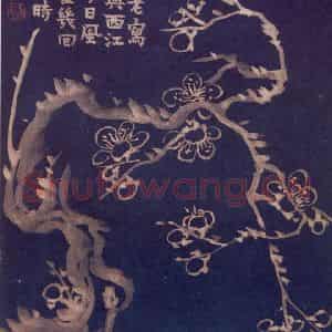 1757年 金农《梅花十二开》国画花鸟作品图片鉴赏