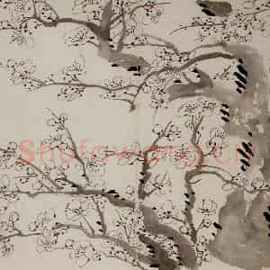1757年 金农《梅花册》国画花鸟作品图片鉴赏