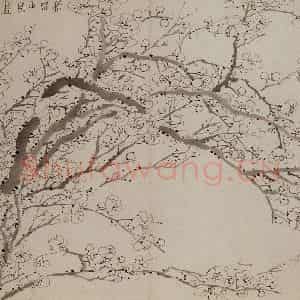 1757年 金农《梅花册》国画花鸟作品图片鉴赏