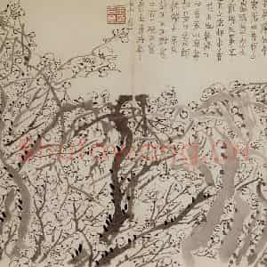 1757年 金农《梅花册》国画花鸟作品图片鉴赏