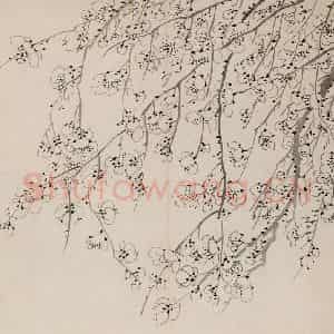 1757年 金农《梅花册》国画花鸟作品图片鉴赏