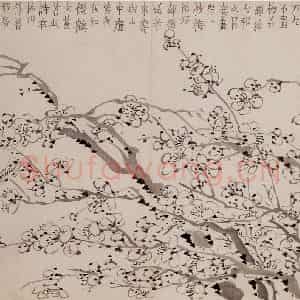 1757年 金农《梅花册》国画花鸟作品图片鉴赏