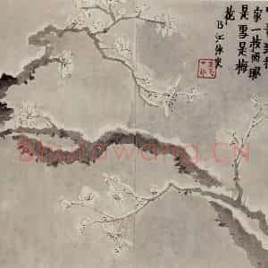 1760年 金农《梅花册》国画花鸟写意作品图片鉴赏