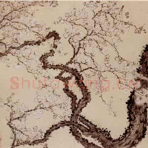 1760年 金农《梅花册》国画花鸟写意作品图片鉴赏
