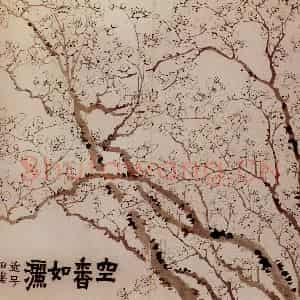 1760年 金农《梅花册》国画花鸟写意作品图片鉴赏