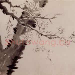1760年 金农《杂画册》国画花鸟写意作品图片鉴赏