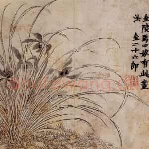 1761年 金农《花卉册》国画花鸟写意作品图片鉴赏