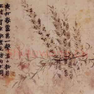 1761年 金农《花卉册》国画花鸟写意作品图片鉴赏