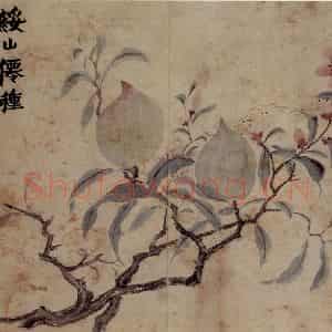 1761年 金农《花卉册》国画花鸟写意作品图片鉴赏