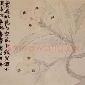 1761年 金农《花卉册》国画花鸟写意作品图片鉴赏
