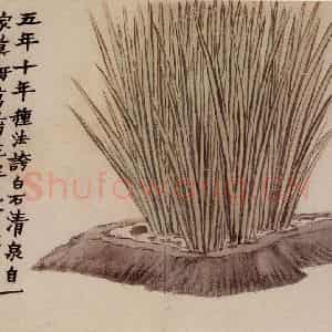 1761年 金农《花卉册》国画花鸟写意作品图片鉴赏