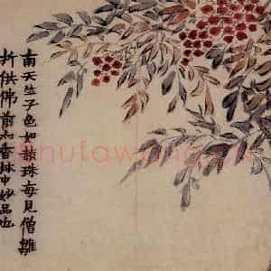 1761年 金农《花卉册》国画花鸟写意作品图片鉴赏