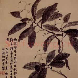 金农《花卉册》国画花鸟写意作品图片鉴赏