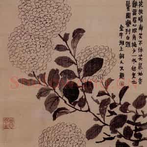 金农《花卉册》国画花鸟写意作品图片鉴赏