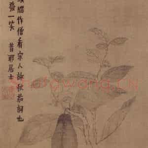 金农《书画合册》国画花鸟写意作品图片鉴赏
