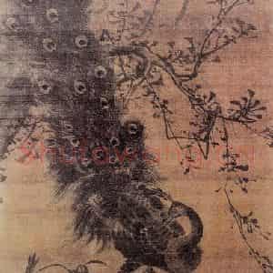 明代 林良《孔雀图》国画花鸟作品图片鉴赏