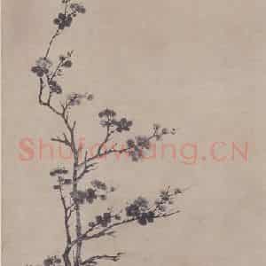明代 唐寅《梅花图》国画花鸟作品图片鉴赏