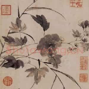 明代 唐寅《临水芙蓉图》国画花鸟作品图片鉴赏