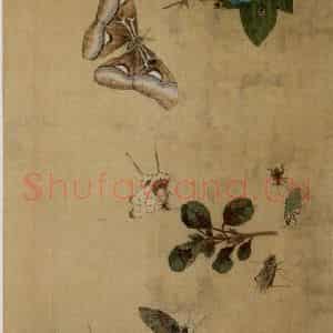 1649年 陈洪绶《百蝶图卷》国画花鸟工笔作品图片鉴赏
