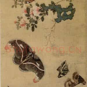 1649年 陈洪绶《百蝶图卷》国画花鸟工笔作品图片鉴赏