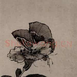 1622年 陈洪绶《早年画册》国画花鸟工笔作品图片鉴赏