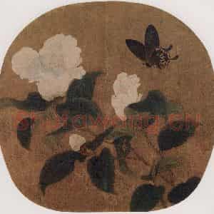 宋代 无款《山茶蝴蝶图页》国画花鸟工笔作品图片鉴赏