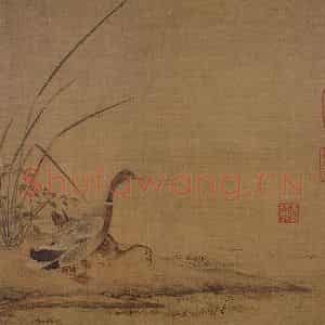 南宋 无款《双凫图页》国画花鸟工笔作品图片鉴赏