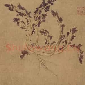 明代 孙龙《花鸟草虫册》国画花鸟写意作品图片鉴赏