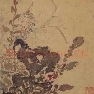 明代 孙龙《花鸟草虫册》国画花鸟写意作品图片鉴赏
