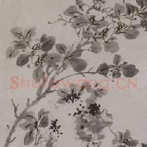 明代 陈淳《山茶水仙图轴》国画花鸟写意作品图片鉴赏