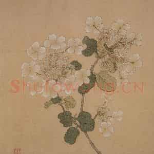 明代 王维烈《花卉册》国画花鸟工笔作品图片鉴赏