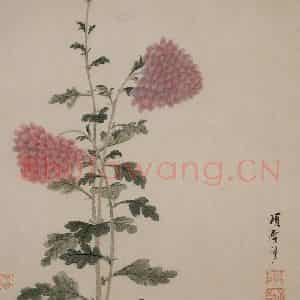 明代 项圣谟《花卉册》国画花鸟写意作品图片鉴赏