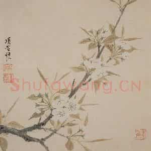 明代 项圣谟《花卉册》国画花鸟写意作品图片鉴赏