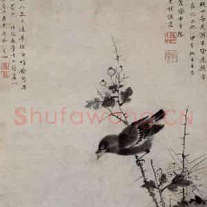 明代 万寿祺《野果山禽图轴》国画花鸟写意作品图片鉴赏