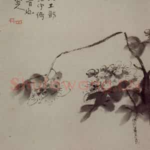 清代 朱耷《杂画册》国画花鸟写意作品图片鉴赏