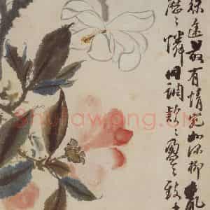 清代 石涛《花卉册》国画花鸟写意作品图片鉴赏